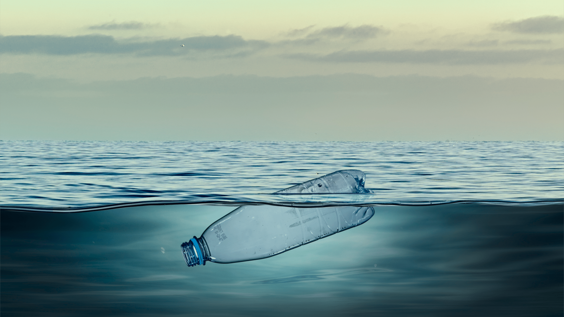 Bottle floating in the ocean