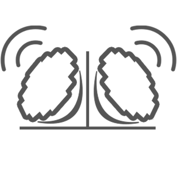Dual Systems and Networks